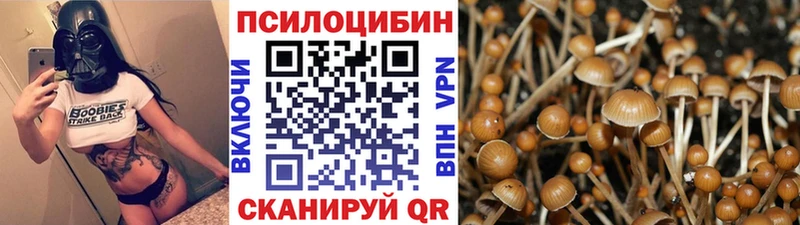 гидра ONION  Гудермес  Псилоцибиновые грибы MAGIC MUSHROOMS 