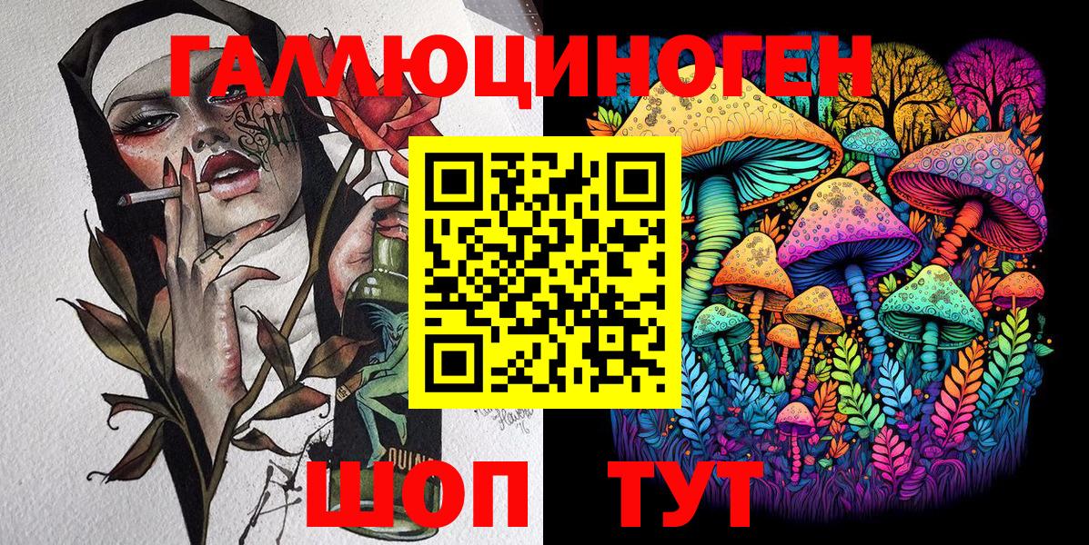 продажа наркотиков  Вход с VPN  Гудермес  Галлюциногенные грибы прущие грибы  Галлюциногенные грибы Psilocybine cubensis 
