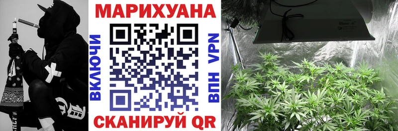 Шишки марихуана THC 21%  Гудермес 